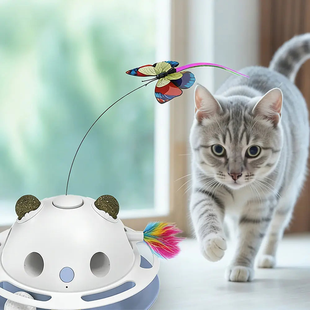What Makes Pet Toys a Two-Way Healing Magic for Your Bond? Bark&Paw