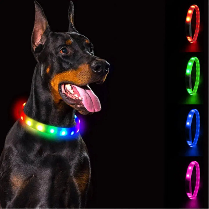 The importance of light up dog collar Bark&Paw