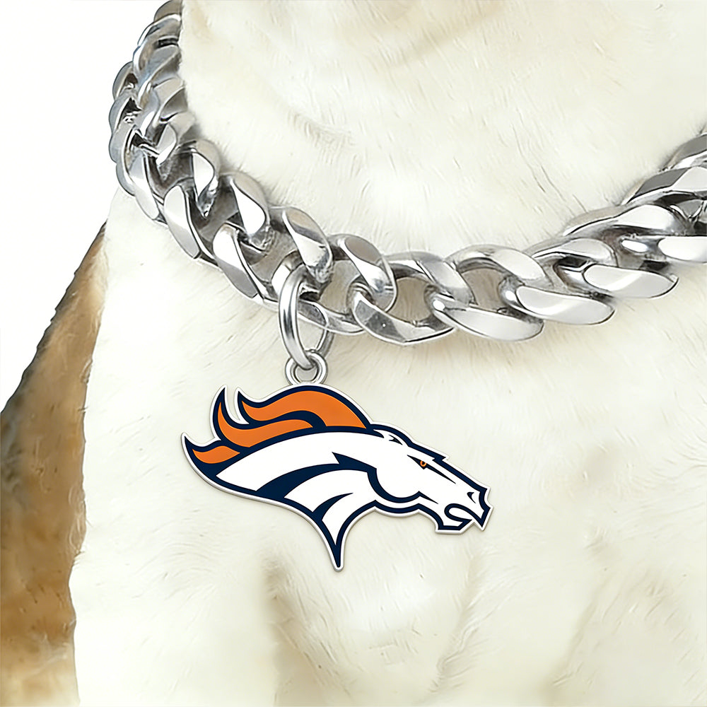 Show off your team spirit Dog Specific NFL Fan Silver Collar
