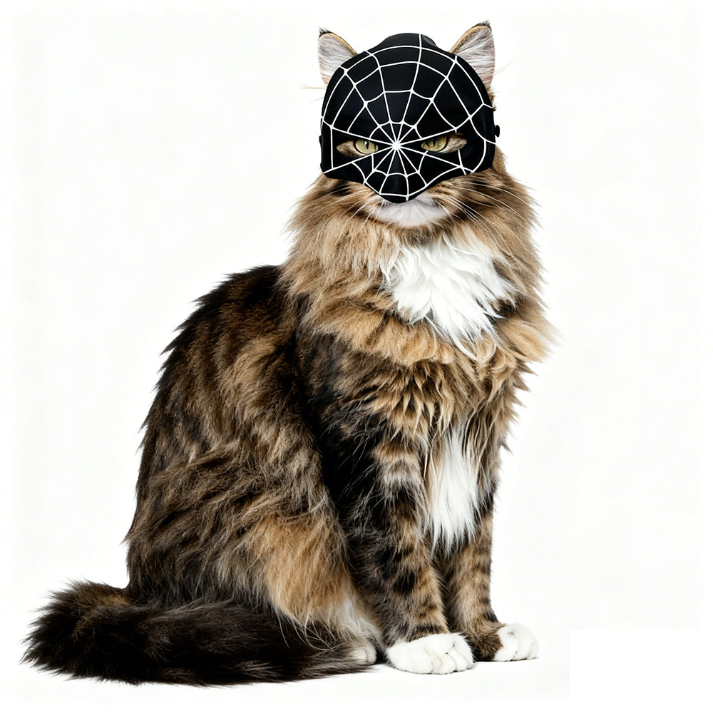 Hot sale Pet Cat Half-Face Cosplay Masks  Plastic Batman Spider Man Joker Avengers Superhero Masks for Cats