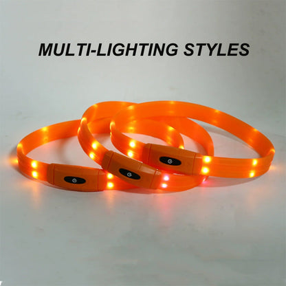 Custom Best-Selling Dog Collar with Walking Safety Light - Rechargeable LED Light-Up 7-Color Pet Glowing Collar with Flowing Light Bark&Paw Lab