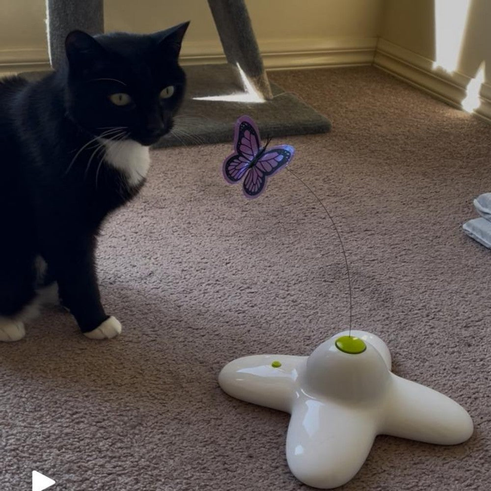 Electronic Flutter Butterfly Cat Toy White