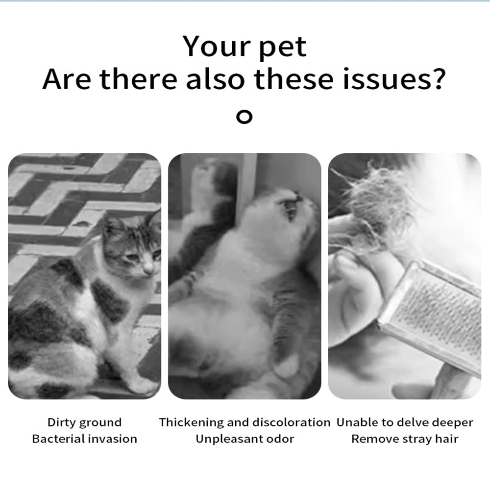 Cat dog Automatic Grooming Brush