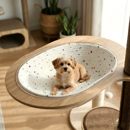 All season oval space capsule bed for cats dogs warm breathable scratch resistant nest
