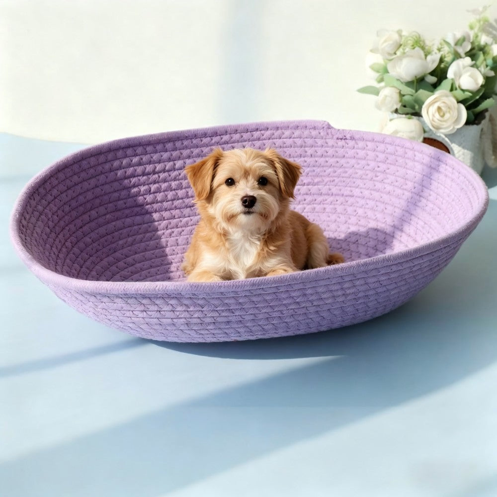All season oval space capsule bed for cats dogs warm breathable scratch resistant nest