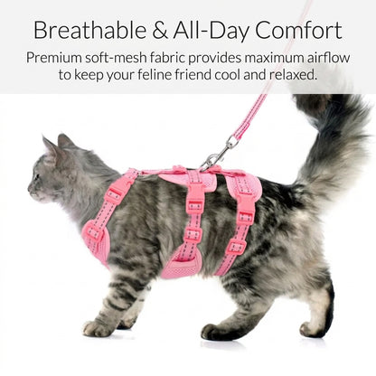 Escape Proof Cat Harness & Leash Set