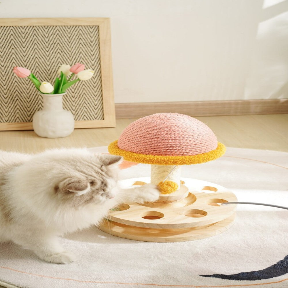 3-in-1 Magic Mushroom for Your Feline Queen Bark&Paw Lab