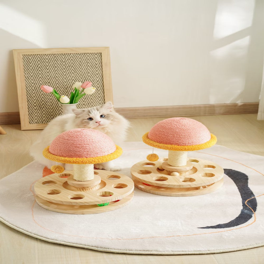 3-in-1 Magic Mushroom for Your Feline Queen Bark&Paw Lab