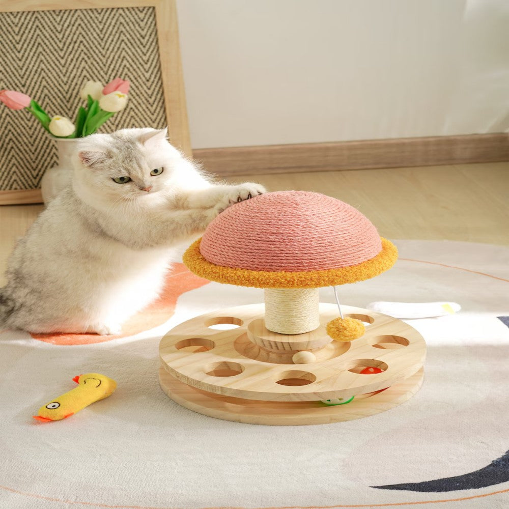 3-in-1 Magic Mushroom for Your Feline Queen Bark&Paw Lab