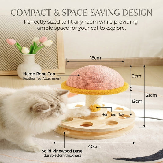 3-in-1 Magic Mushroom for Your Feline Queen