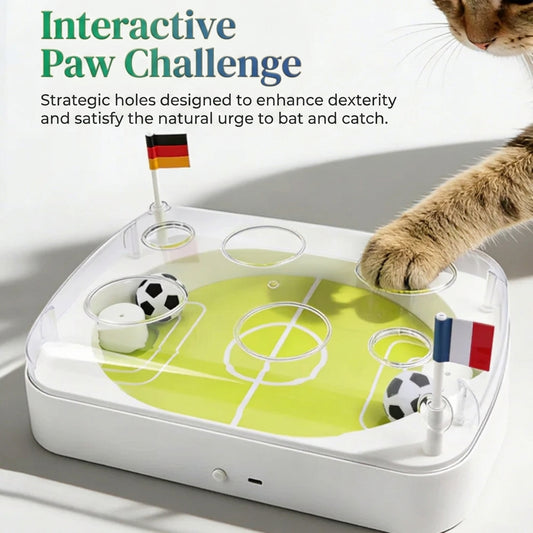 Electric Interactive Football Field Cat Ball Toy