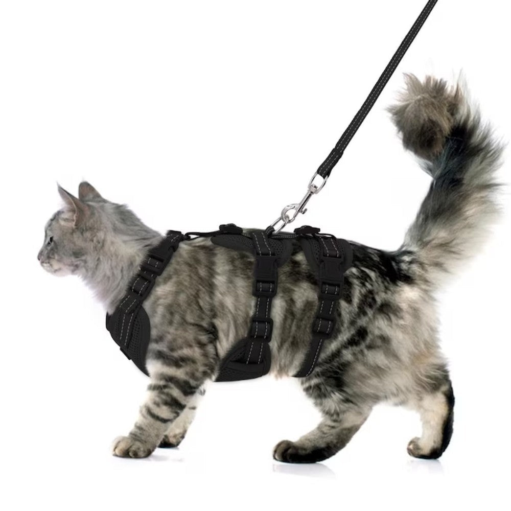 Escape Proof Cat Harness & Leash Set Bark&Paw Lab