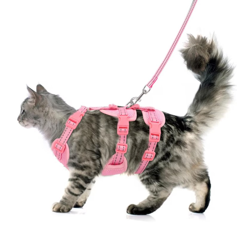 Escape Proof Cat Harness & Leash Set Bark&Paw Lab