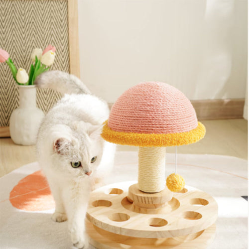 3-in-1 Magic Mushroom for Your Feline Queen Bark&Paw Lab