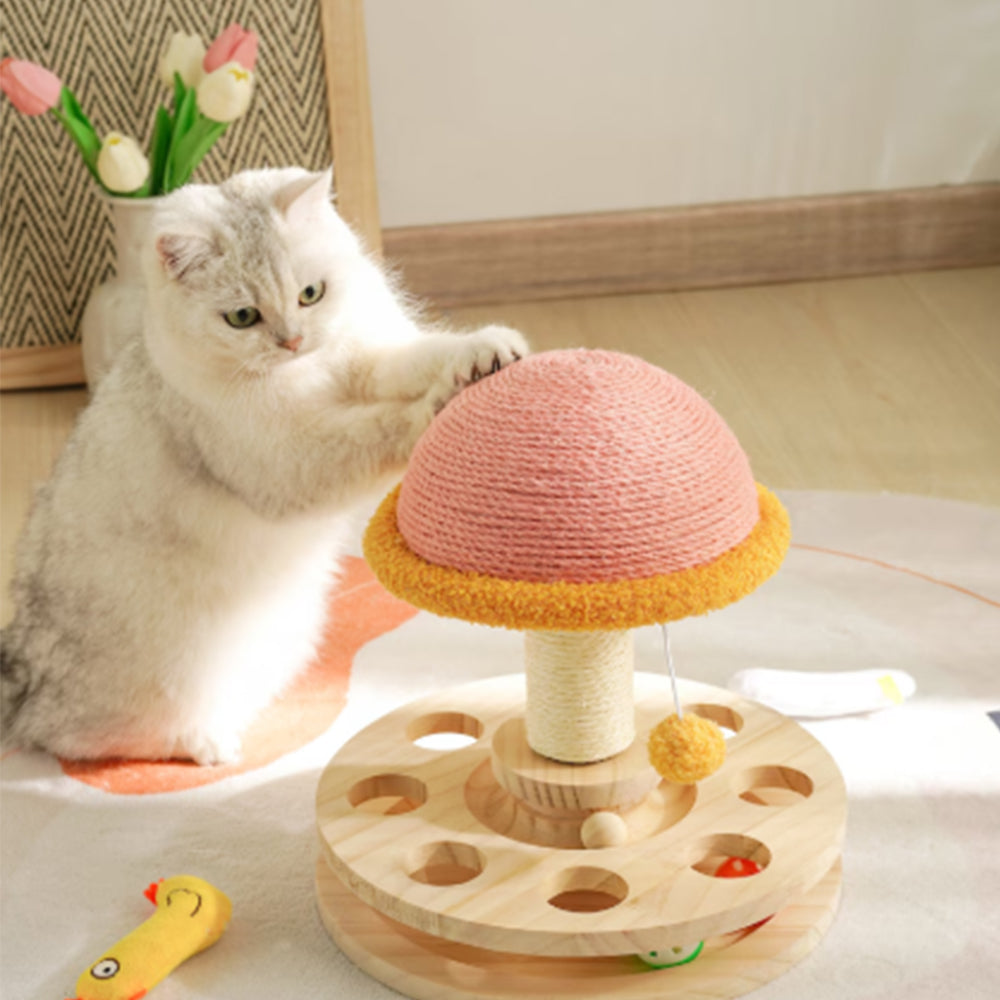 3-in-1 Magic Mushroom for Your Feline Queen Bark&Paw Lab