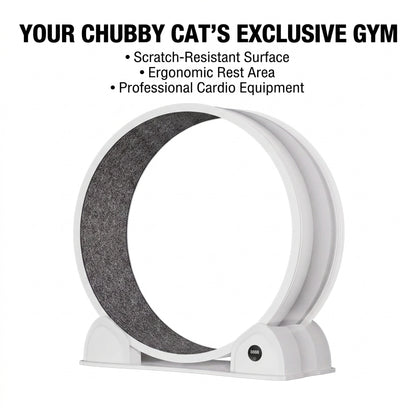 Smart Digital Display ABS Cat Treadmill Pet Toy Cat Running Silent Exercise Wheel Fitness & Sports Cat Tree