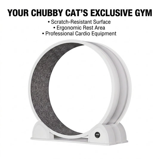 Smart Digital Display ABS Cat Treadmill Pet Toy Cat Running Silent Exercise Wheel Fitness & Sports Cat Tree