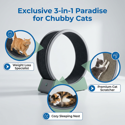 Smart Digital Display ABS Cat Treadmill Pet Toy Cat Running Silent Exercise Wheel Fitness & Sports Cat Tree