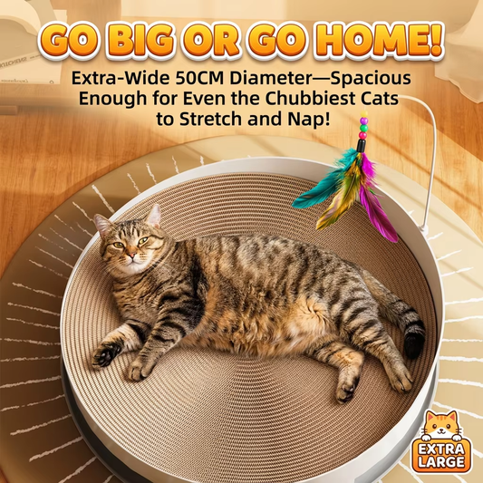 Round 3-in-1 Cat Scratcher Bed, Wear-Resistant & No Shed