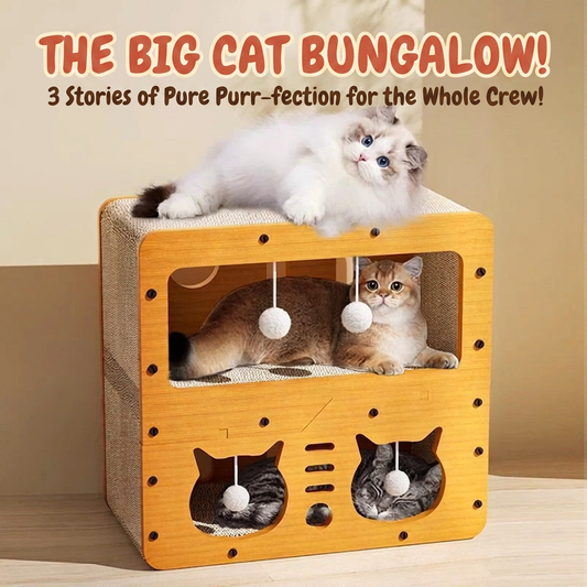 Durable 2-in-1 Cat Scratcher Lounge Bed & Teaser Toy house