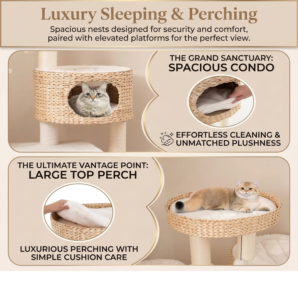 Modern Cat Tree for Indoor Cats with Cattail Fluff Condo and Top Perch