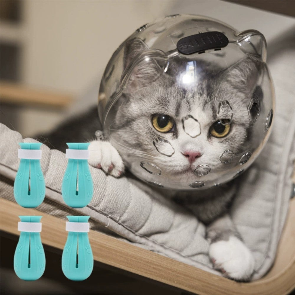 Adjustable Transparent Cat Muzzle Astronaut Style Breathable Hood Stops Biting Chewing Kitten - friendly Bark&Paw Lab