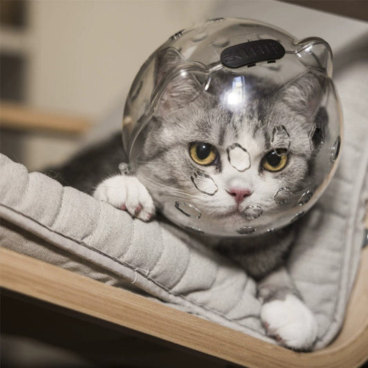 Adjustable Transparent Cat Muzzle Astronaut Style Breathable Hood Stops Biting Chewing Kitten - friendly Bark&Paw Lab