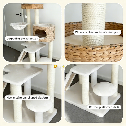Modern Cat Tree for Indoor Cats with Cattail Fluff Condo and Top Perch Bark&Paw Lab