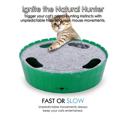 Cat Toy with Running Mouse