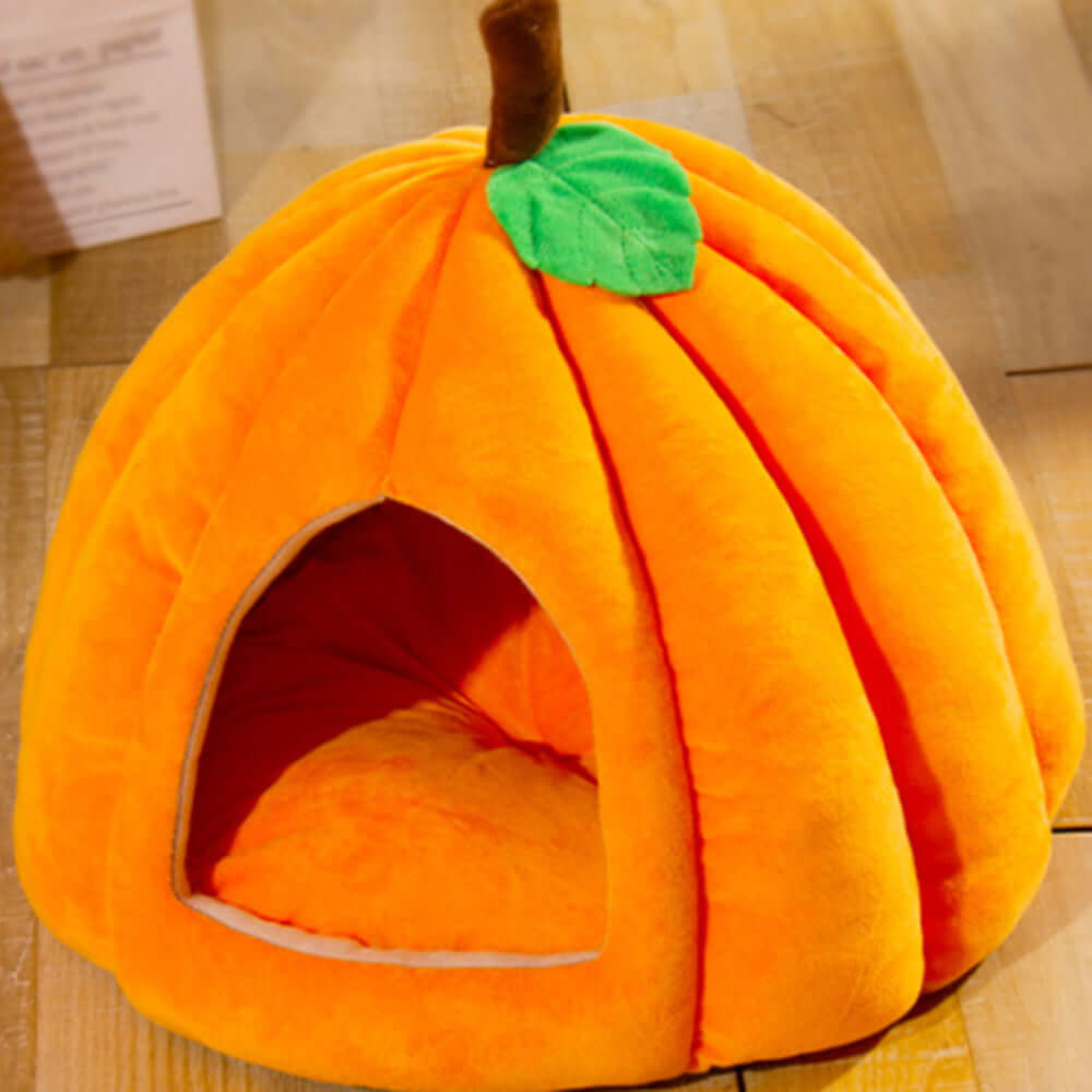 Soft cat beds come in various cute designs including the pumpkin shape Bark&Paw Lab