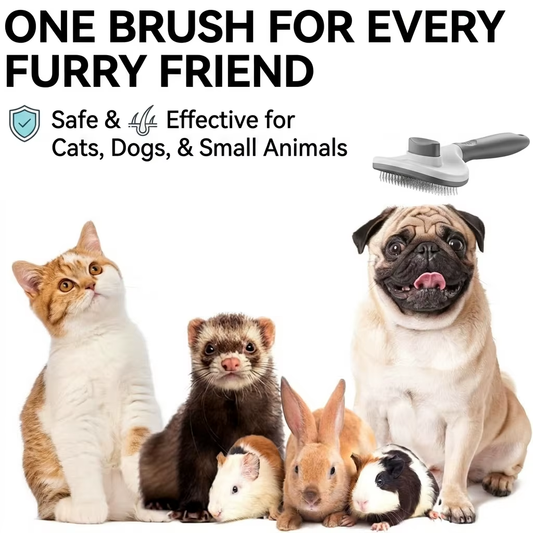 Cat Brush for Shedding & Grooming Indoor Cat Comb for Long/Short Haired Cats Kitten Rabbit Massage Loose Fur Remover