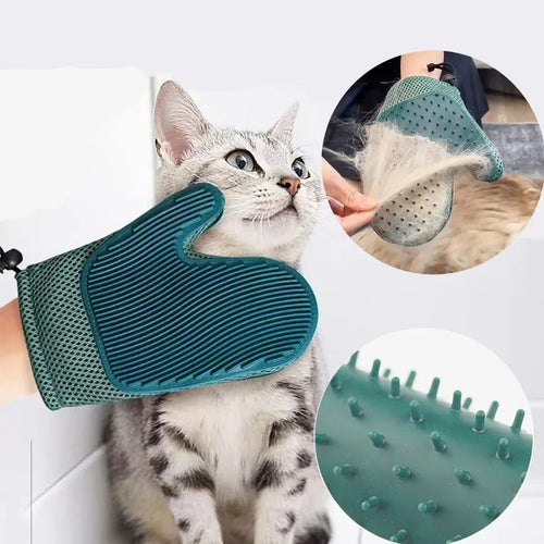 Cat grooming tools