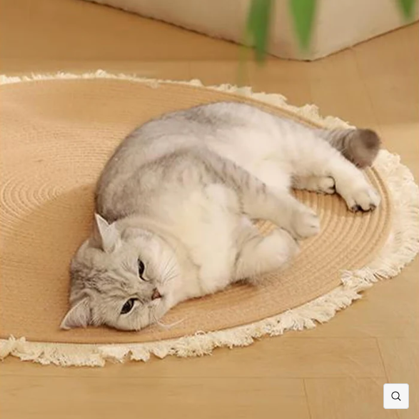 Durable Cat Scratch Mat Rug with Fringe Bark&Paw Lab