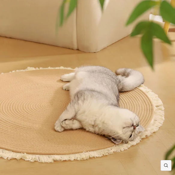 Durable Cat Scratch Mat Rug with Fringe Bark&Paw Lab