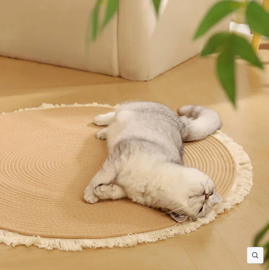 Durable Cat Scratch Mat Rug with Fringe Bark&Paw Lab