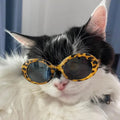 Cat Fashion Glasses Sunglasses Cool Trendy
