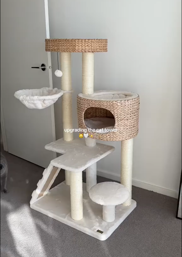 Modern Cat Tree for Indoor Cats with Cattail Fluff Condo and Top Perch Bark&Paw Lab