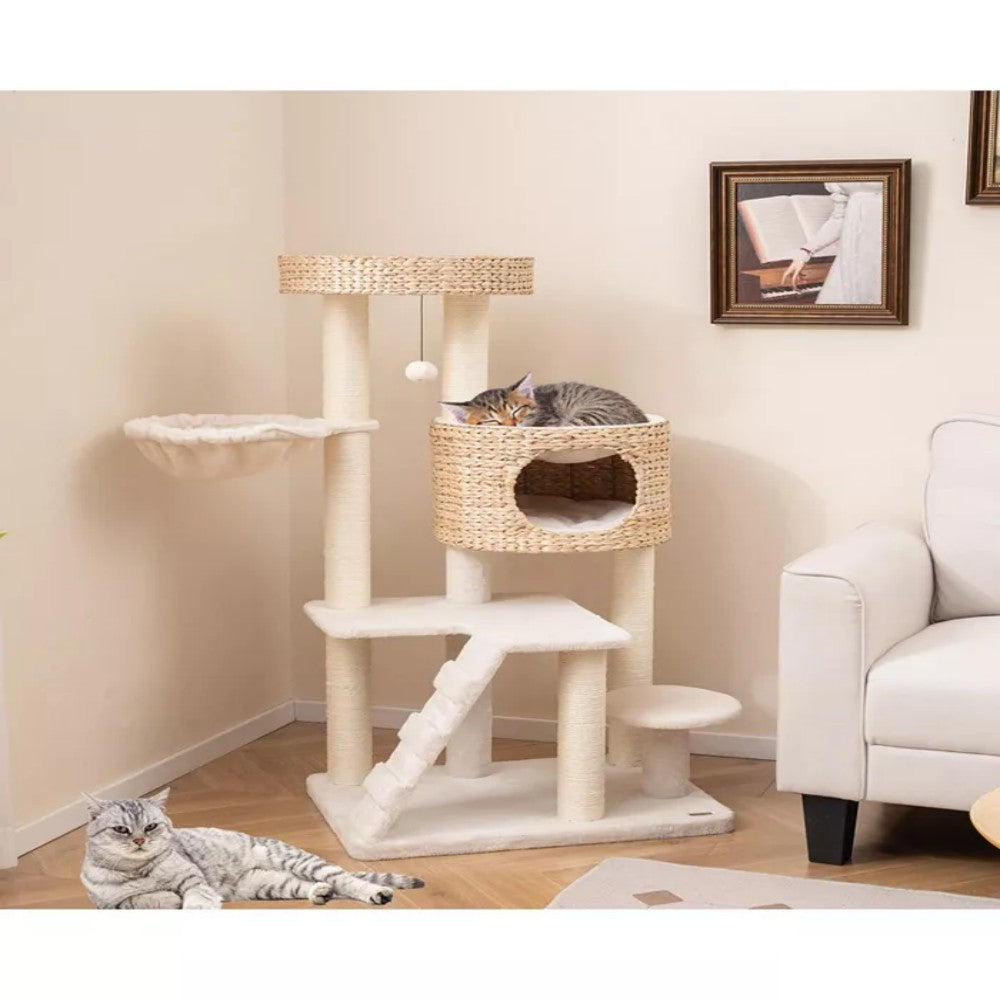 Modern Cat Tree for Indoor Cats with Cattail Fluff Condo and Top Perch Bark&Paw Lab