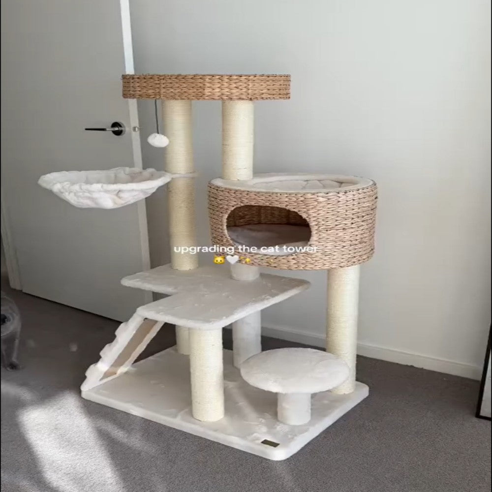 Modern Cat Tree for Indoor Cats with Cattail Fluff Condo and Top Perch Bark&Paw Lab
