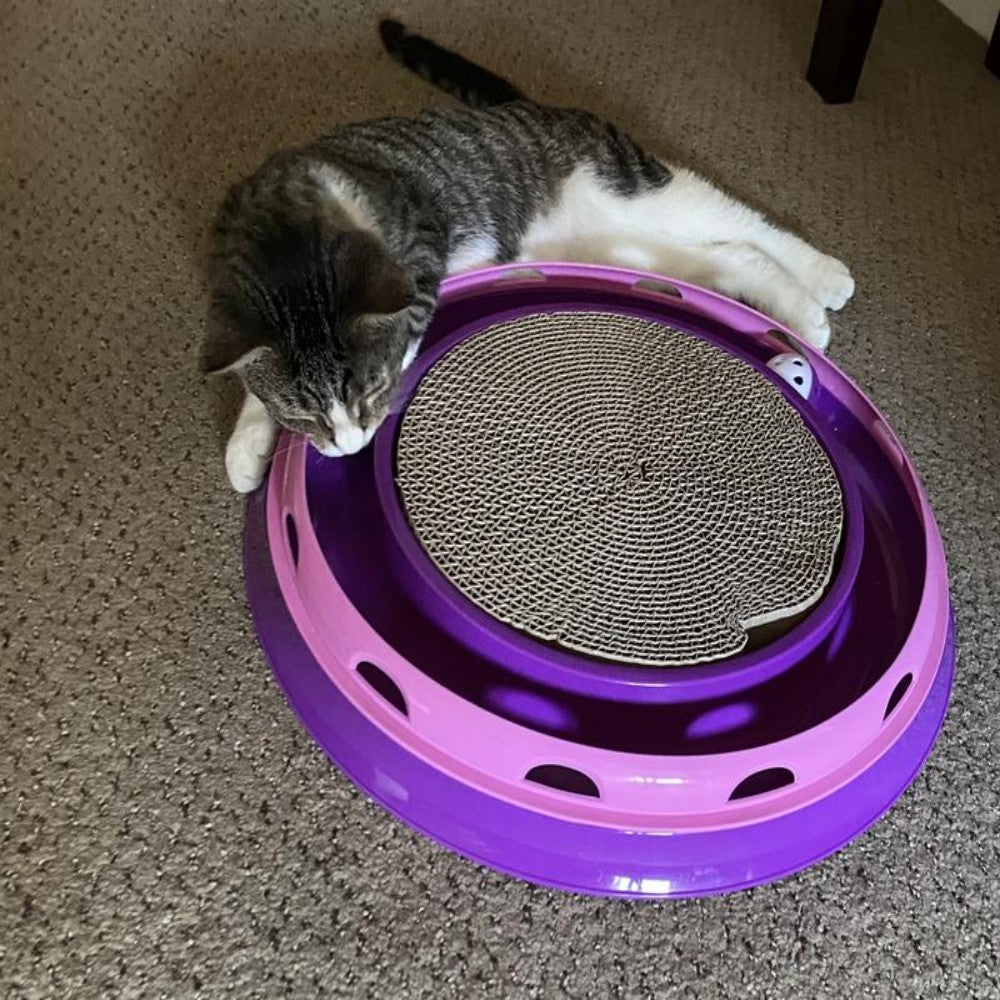 Cat toy Ball Track & Scratcher Cat Interaction Toy for kitty Bark&Paw Lab