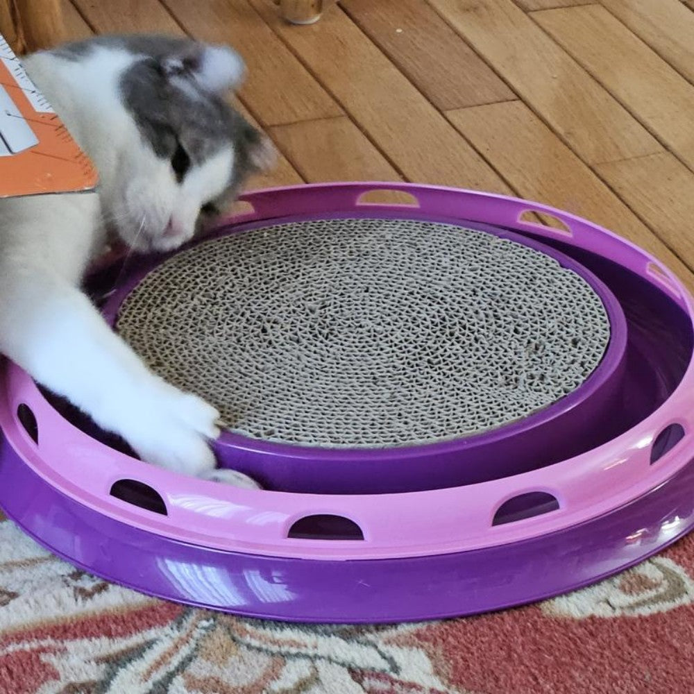 Cat toy Ball Track & Scratcher Cat Interaction Toy for kitty