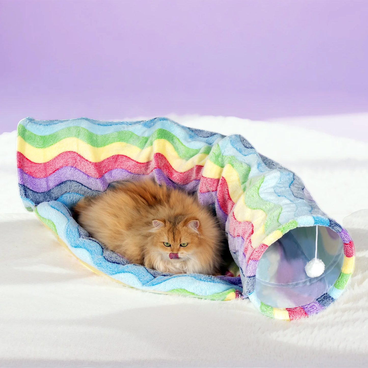 Durable Elves in the Rainbow Cat Tunnel Bark&Paw Lab