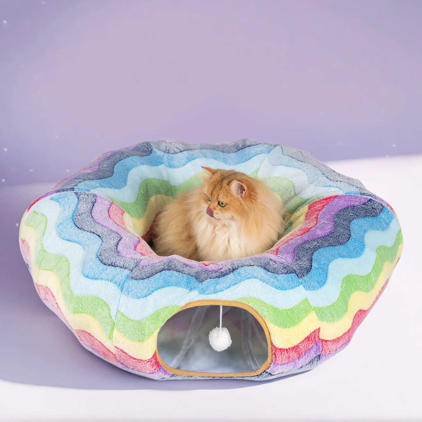 Durable Elves in the Rainbow Cat Tunnel Bark&Paw Lab