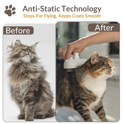 Safe Cool Mist 3 in 1 Massage Comb for Cats Dogs Removes Floating Hair Remover Cleaner