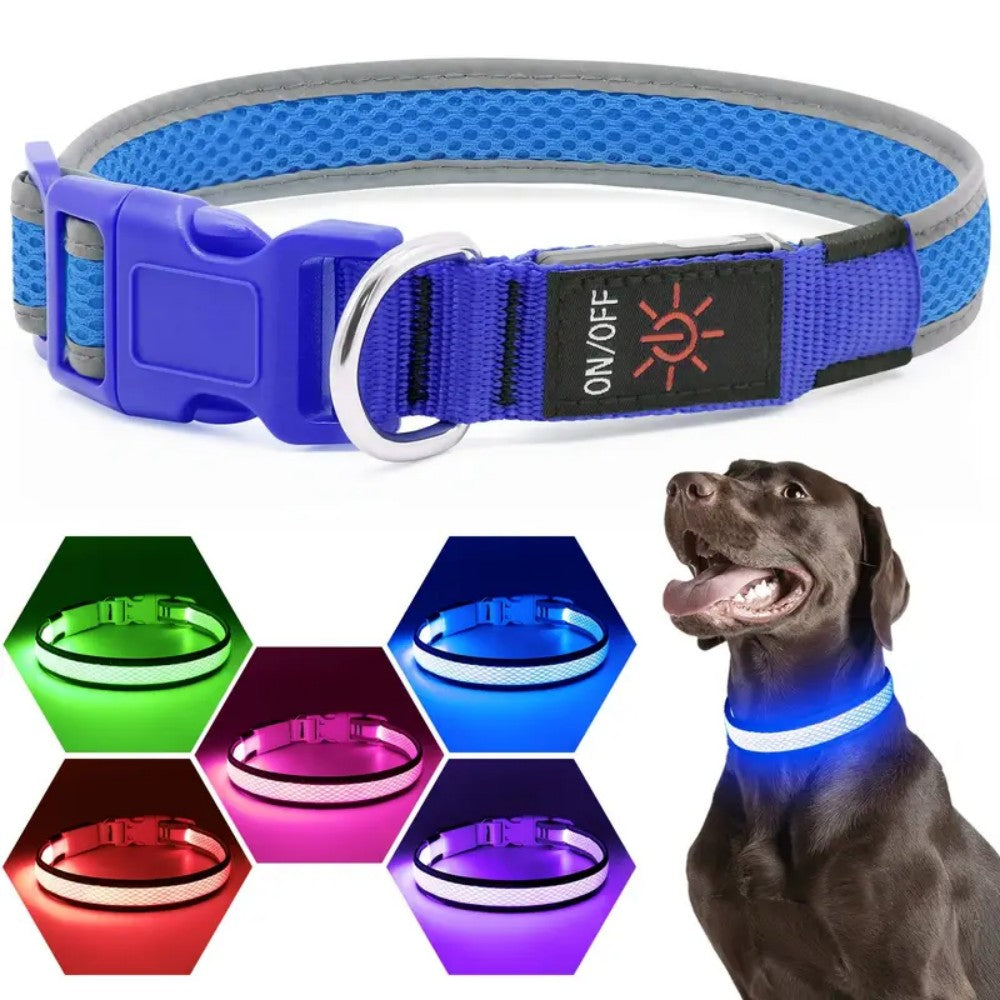 3 lighting modes USB-charged anti-lost light-up dog collar