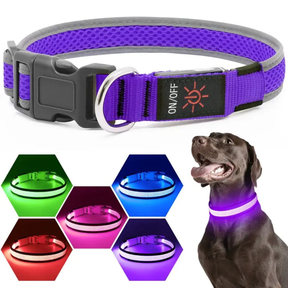 3 lighting modes USB-charged anti-lost light-up dog collar