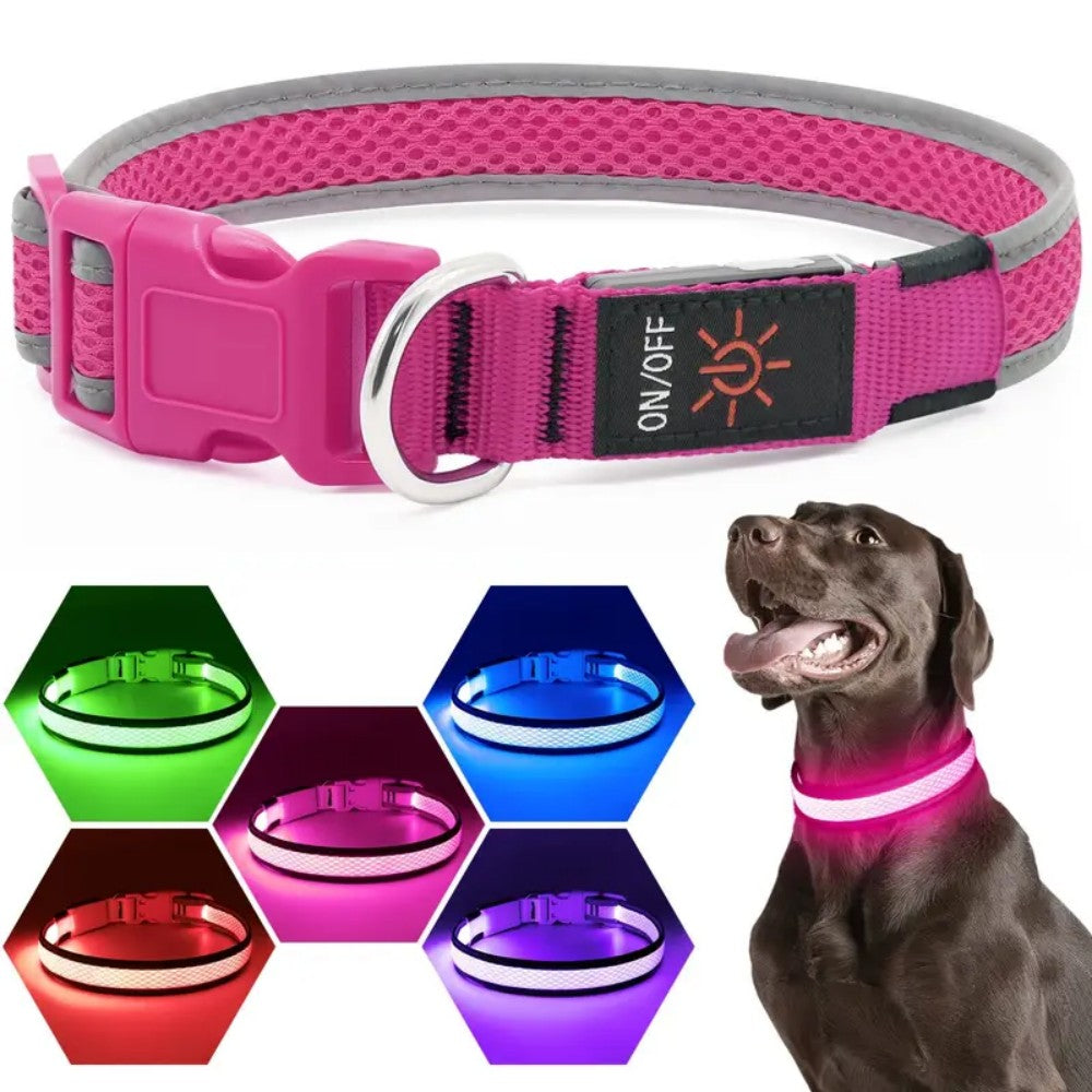3 lighting modes USB-charged anti-lost light-up dog collar