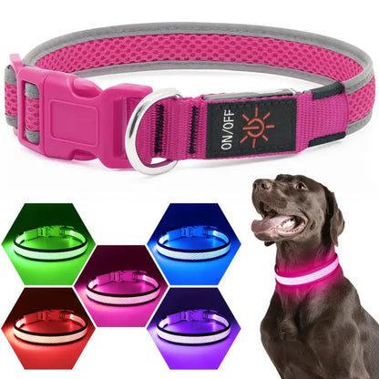 USB-charged anti-lost light-up dog collar Bark&Paw Lab