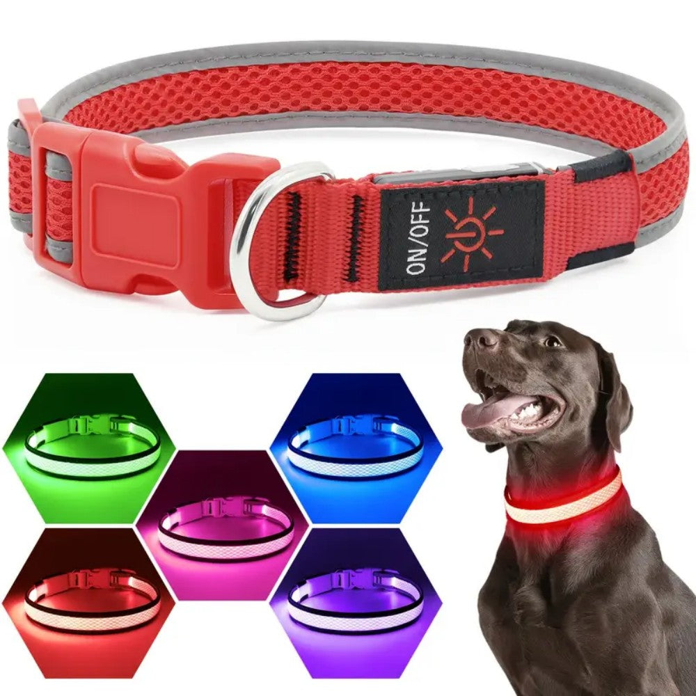 3 lighting modes USB-charged anti-lost light-up dog collar