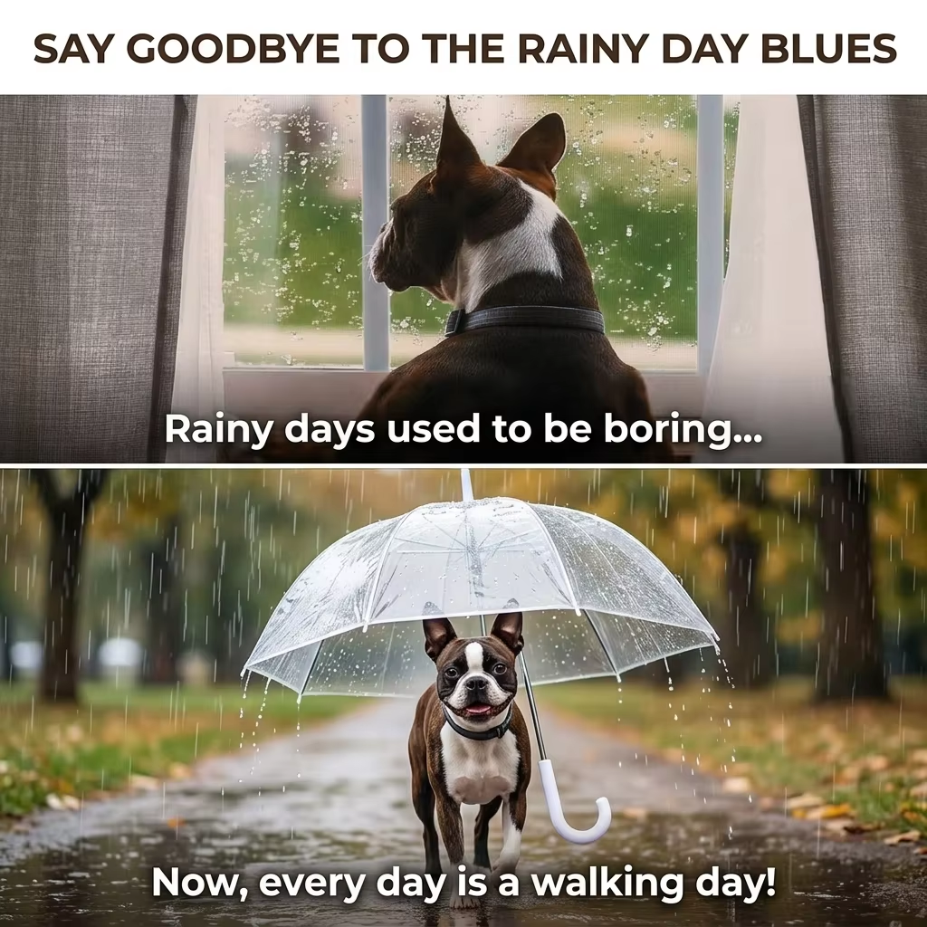 Dog Umbrella with Leash & C-Handle Transparent Pet Walking Umbrella for Small Dogs & Cats Keeps Pets Dry